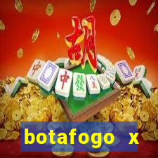 botafogo x palmeiras futmax